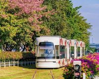 Reisen mit Peter_China_Guangzhou_Strassenbahn_Stra&szlig;enbahn_Tram_Stra&szlig;enbahnreisen_Stra&szlig;enbahnreise_12