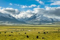 Tibet-Bahn Tibetbahn Tibet Mao China Unterdrückung Freiheit Eisenbahnreise Erlebnisreise Luxuszug